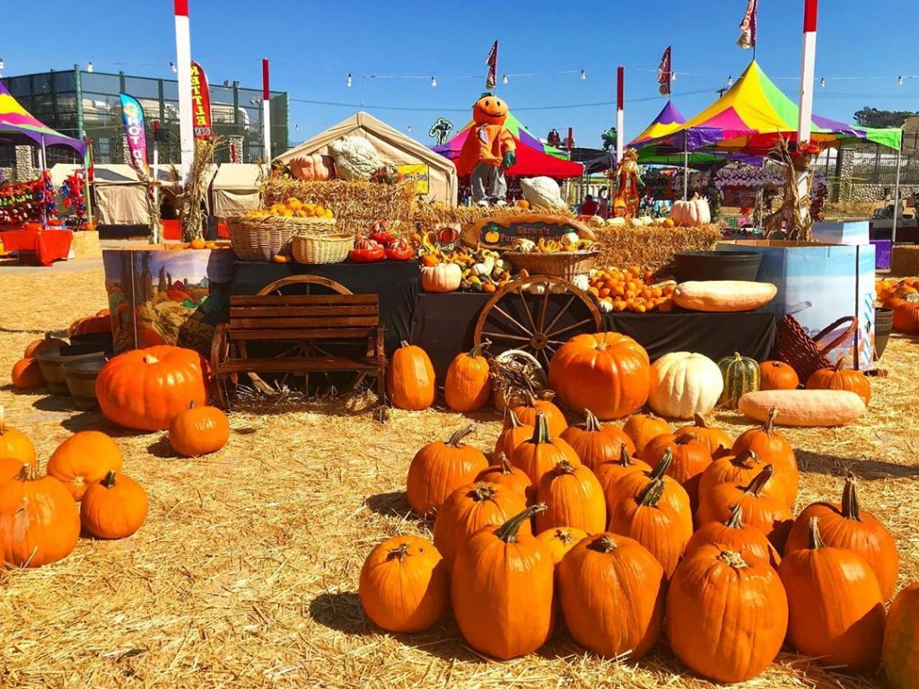 10 Best Pumpkin Patches (& Trails) In Los Angeles Secret Los Angeles