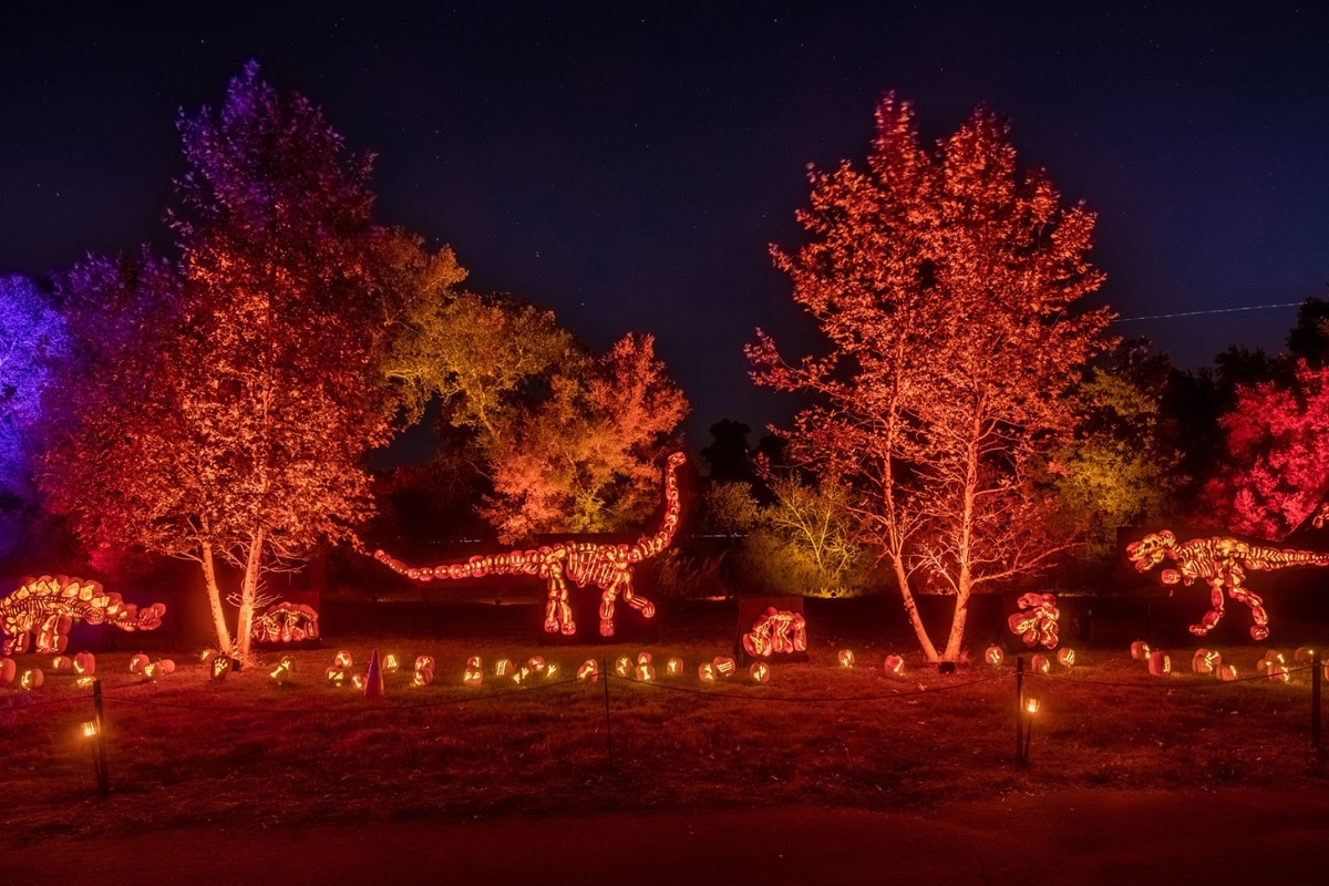 Glowing pumpkins line the trail at Nights of the Jack