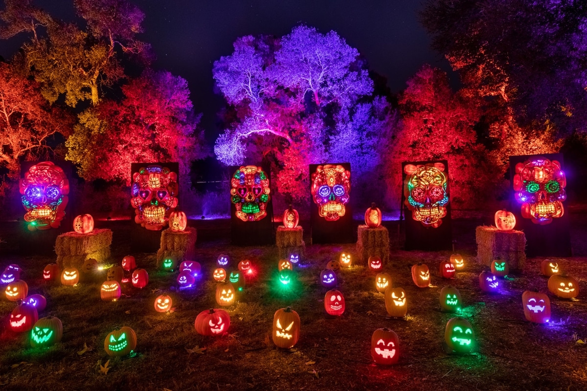 Glowing pumpkins line the trail at Nights of the Jack