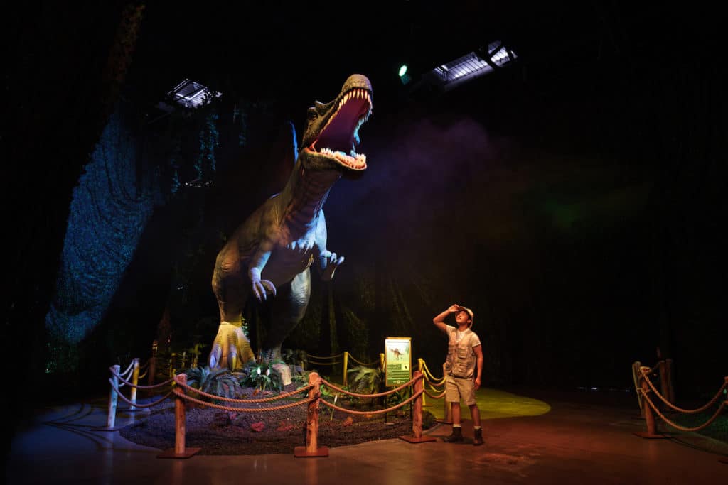 A dinosaur roaring at the Dinos Alive Exhibit.