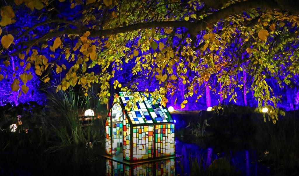 Views of Descanso Garden's Enchanted Forest of Light festival—one of the most beloved Christmas events in L.A.