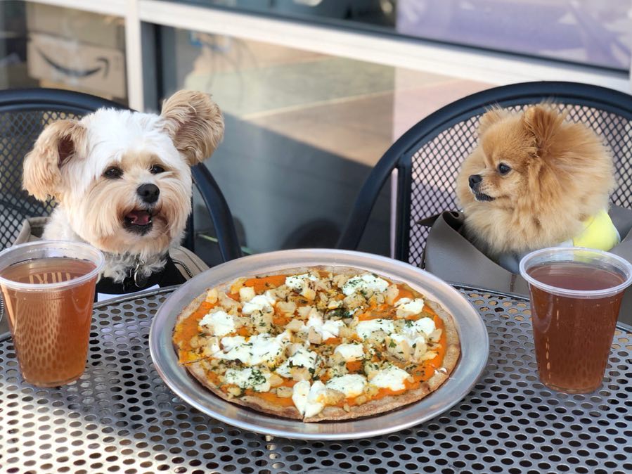 This Restaurant In Rosemead Makes Pizza For Dogs And It May Be The Cutest Thing Ever Secret Los Angeles