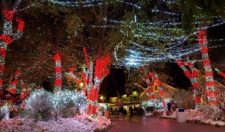 Stroll Amongst Millions Of Twinkling Lights At The Six Flags ‘Holiday In The Park’ Experience