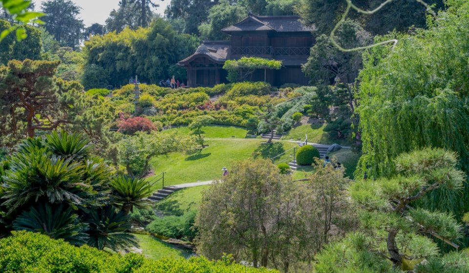 5 Gorgeous Botanical Gardens In L.A. To Wander Through This Spring