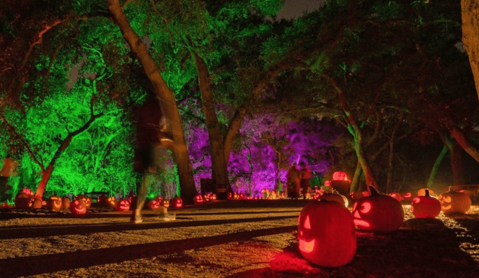Descanso Garden’s Dazzling Mile-Long Trail Of Carved Pumpkins Is Back This Fall
