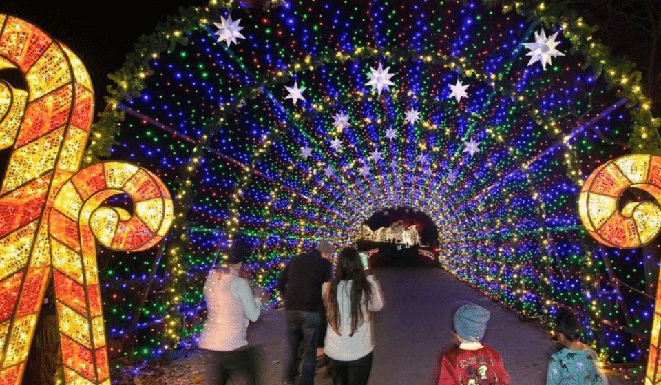 21 Charming Things To Do Around Los Angeles This Holiday Season