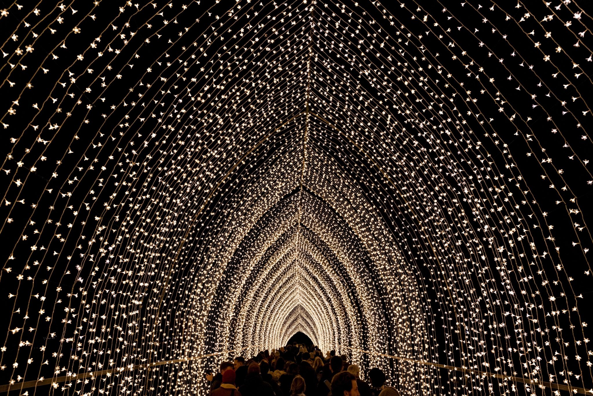 The Gingerbread Man’s Spectacular Holiday Light Adventure