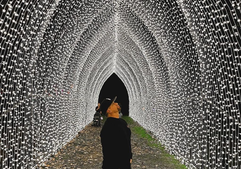 ‘Lightscape’ Has Transformed The L.A. Arboretum Into An Illuminated Wonderland