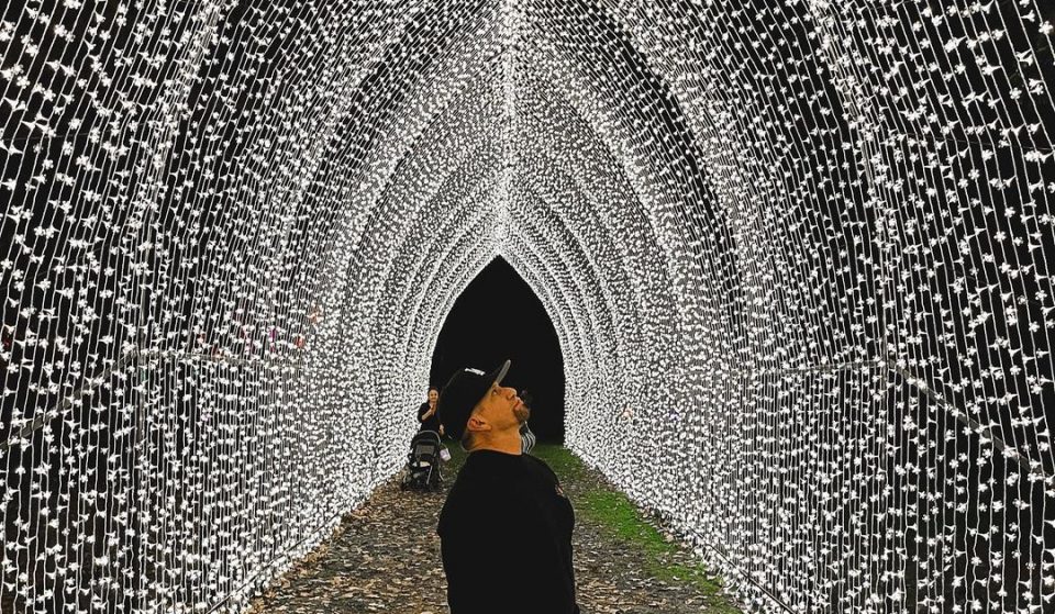 ‘Lightscape’ Will Transform The L.A. Arboretum Into A Glittering Wonderland