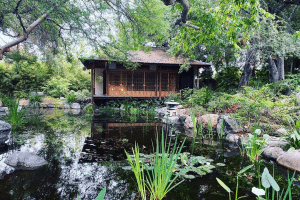 Hidden Storrier Stearns Japanese Garden