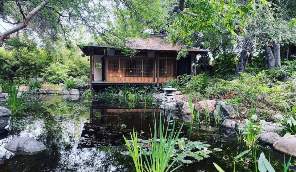 The Unexpected History Behind This Hidden Pasadena Japanese Garden