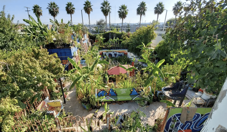 L.A.’s “Gangsta Gardener” Transformed His South Central Swimming Pool Into An Urban Eden