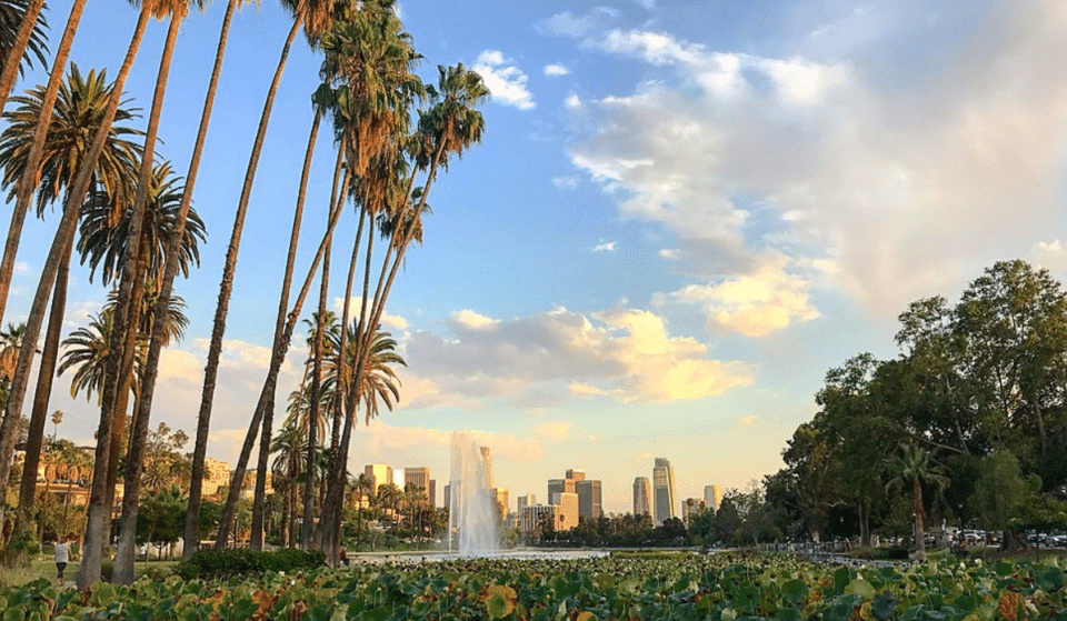 L.A.’s Beloved Lotus Festival Returns To Echo Park This Weekend