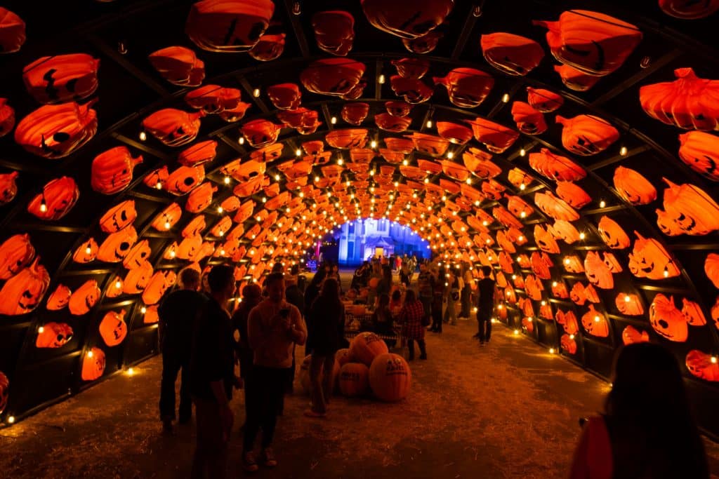 Haunt O' Ween LA's glowing pumpkin tunnel