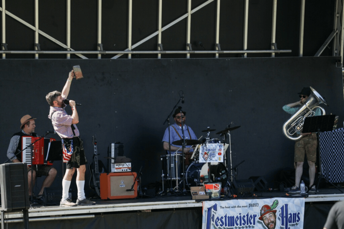 A German musician performs on stage