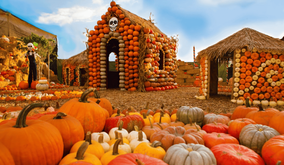 Mr. Bones Is Back With His 35th Annual Pumpkin Patch, And Tickets Are Now On Sale!