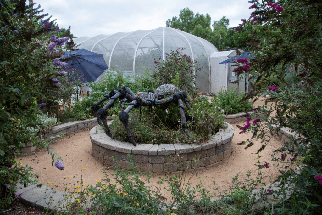 A giant fake spider in the middle of a botanic garden