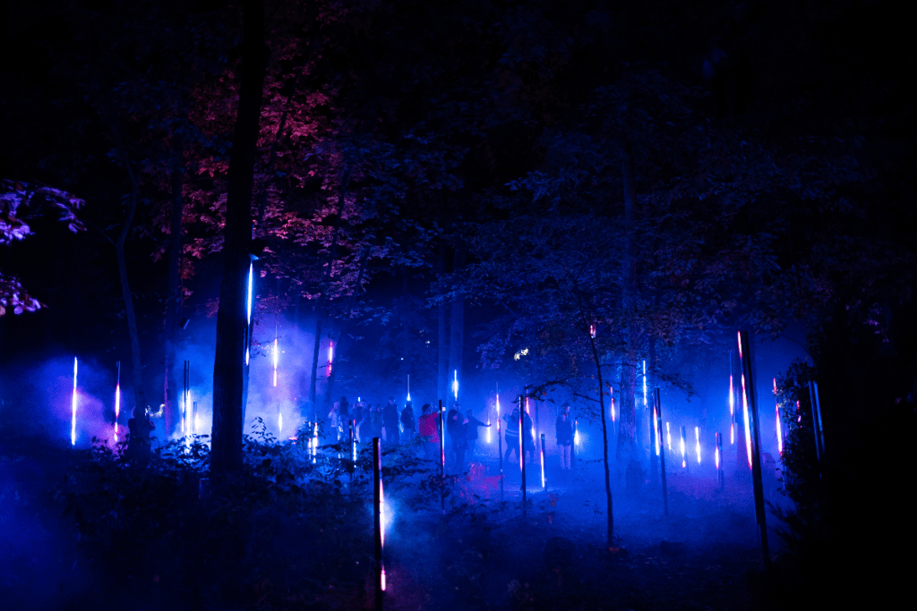 People walk through an illuminated forest