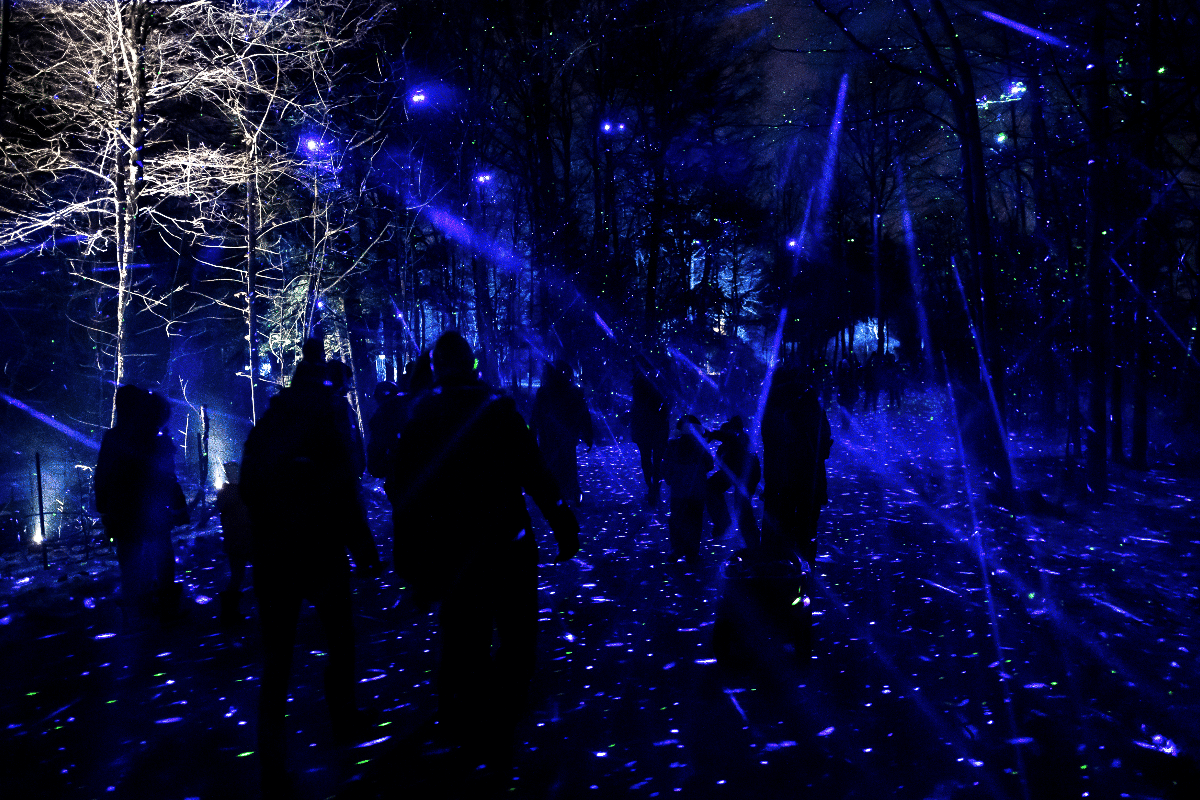People walk through a forest illuminated with light