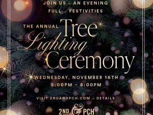 How lovely are thy branches — South Coast Plaza celebrates return of  in-person tree lighting - Los Angeles Times