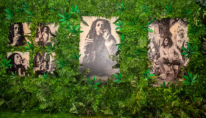 Three Bob Marley pictures surrounded by greenery