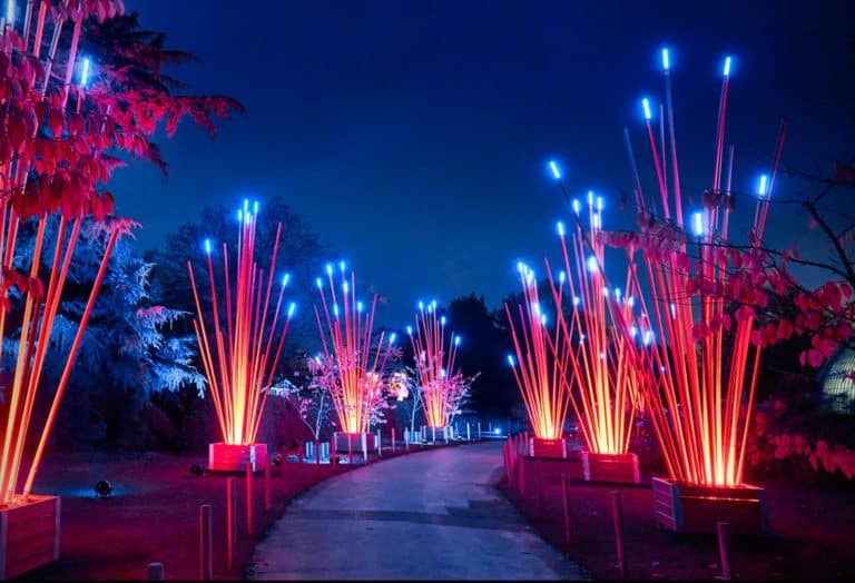 'Lightscape' Returns To The LA Arboretum Secret Los Angeles