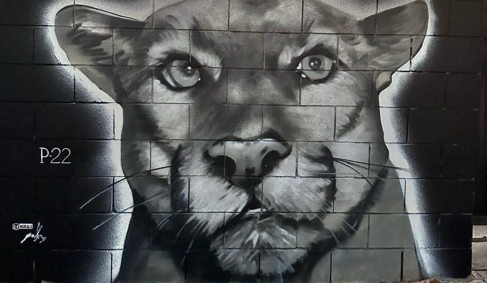 A Stunning New Mural Depicting LA’s P-22 Mountain Lion Has Been Unveiled In East Los Angeles