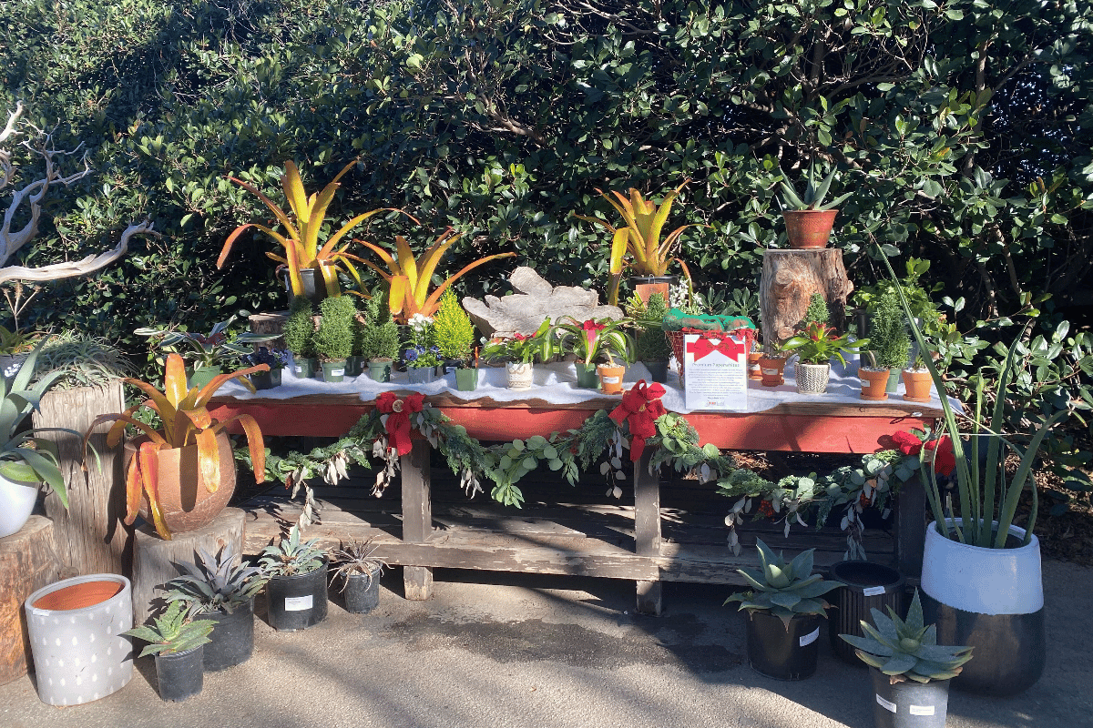South Coast Botanic Garden as one of the holiday markets in Los Angeles