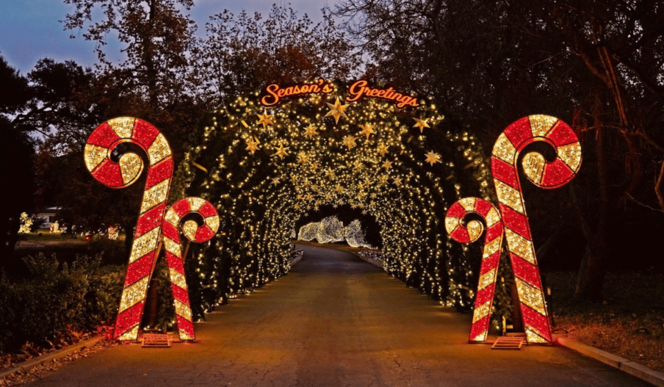 17 Magical Things To Do Around LA This Holiday