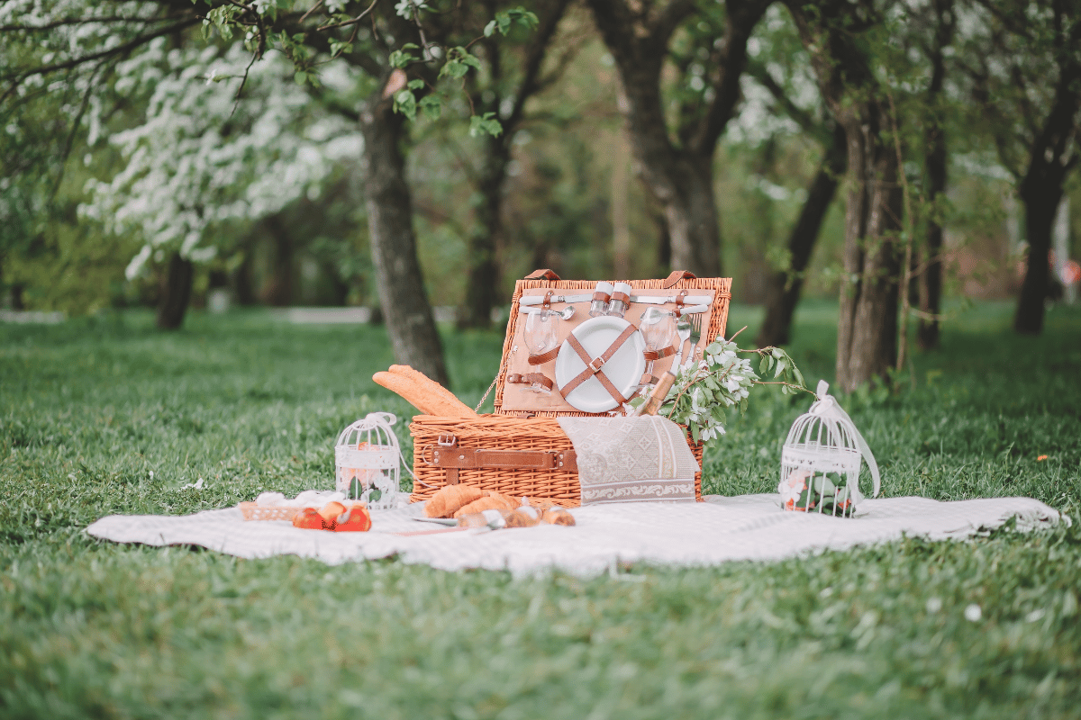 A picnic in a park