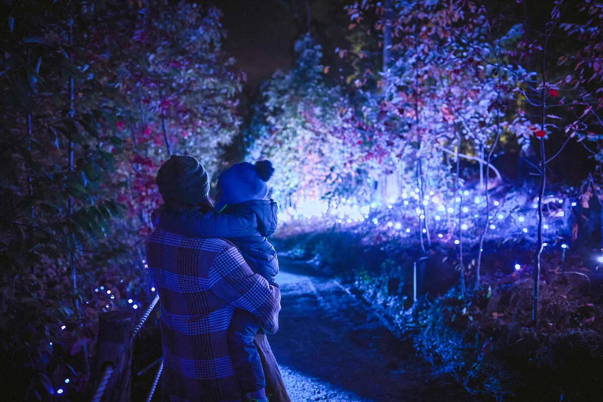 A woman carries a child through an illuminated forest