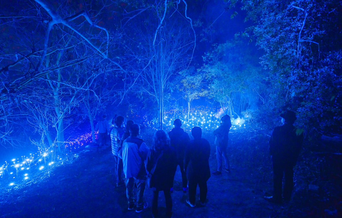 People walk past blue lights at Astra Lumina