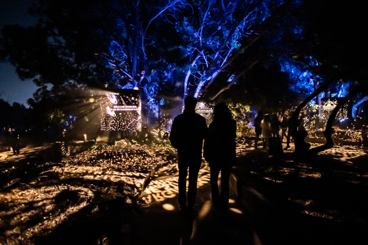 Two people walk through a lit up park