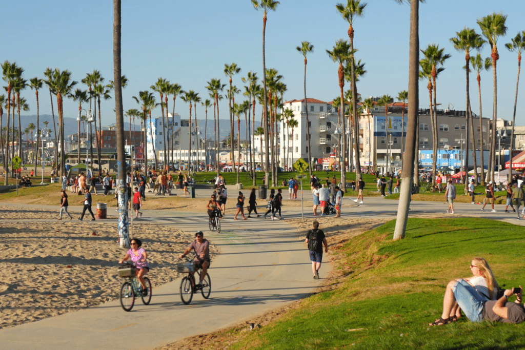California summertime ocean Venice beach aesthetic, many people walking and ride cycles, bicycle path among palm trees. Pedestrians on promenade in sunny park.