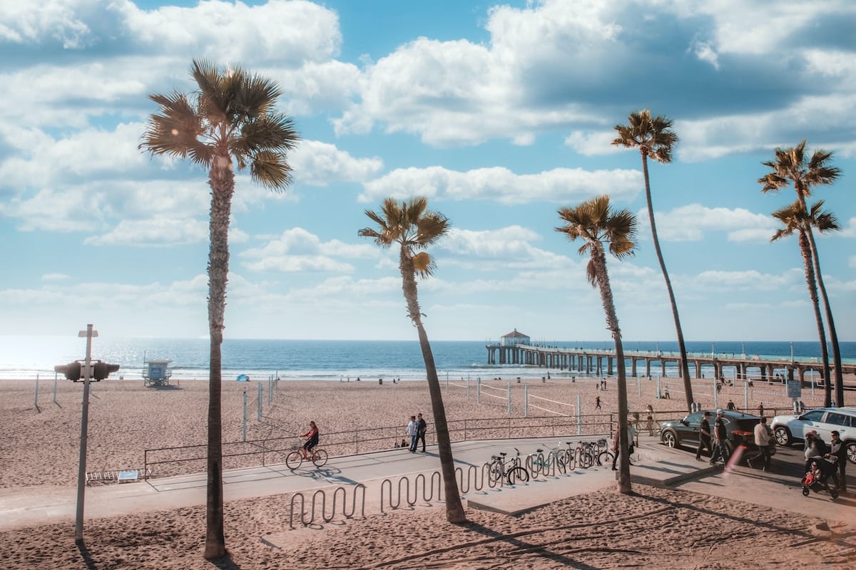 A sunny day at Manhattan Beach with palm trees in the foreground and the pier in the background. 