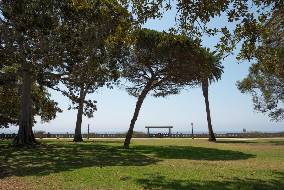 The green lawn of Fermin Park with a glimpse of the ocean in the background.