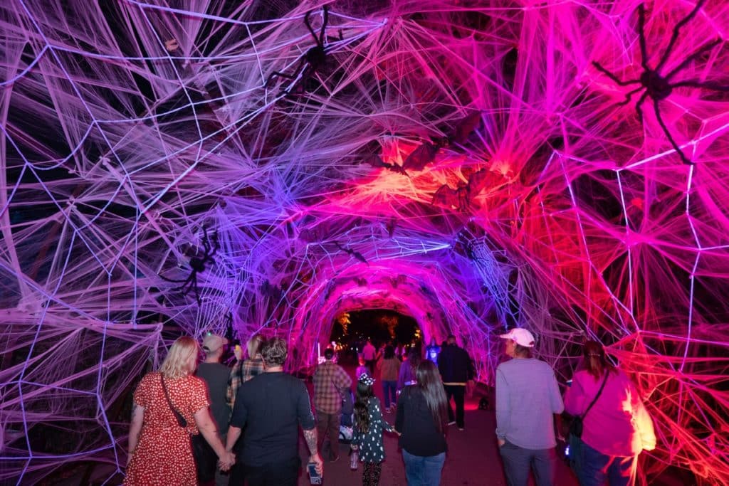 Decorative spider webs hang over the trail at Nights of the Jack