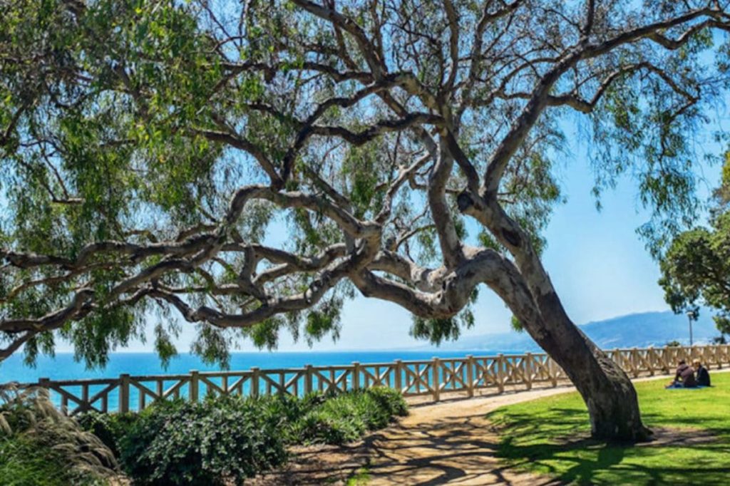 El de Santa Mónica es uno de los mejores parques de Los Ángeles